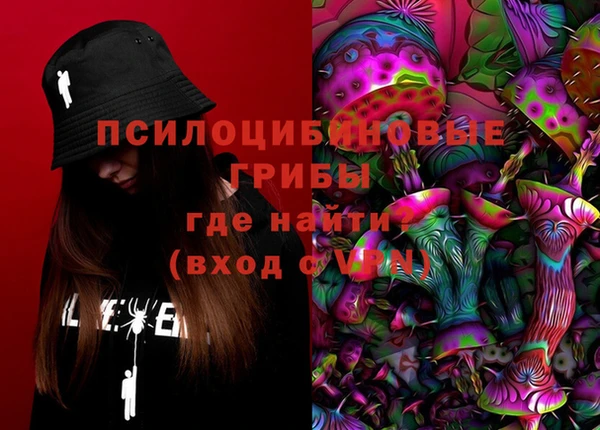 первитин Богородицк