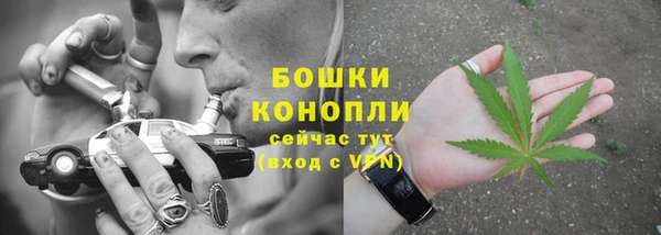 винт Белокуриха