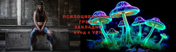a pvp Богородск