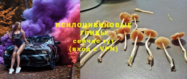 a pvp Богородск