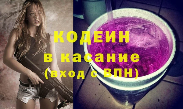 ГАЛЛЮЦИНОГЕННЫЕ ГРИБЫ Слюдянка