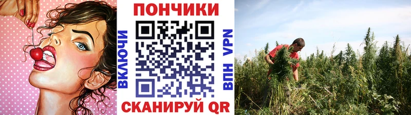 Канабис семена гидра Сердобск